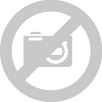 Перемычка WAGO 2002-410, 800В, 25А, (1 шт)