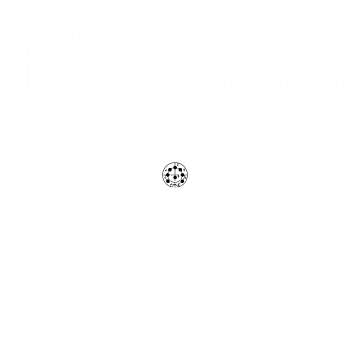 DIN-прямое кабельное соединение Lumberg KV 80