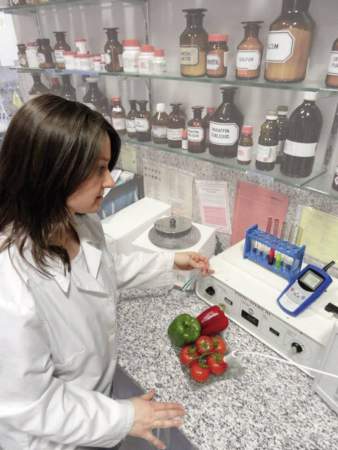 Термометр-зонд Greisinger 602123 GMH 2710