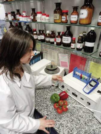 Термометр-зонд Greisinger 602123 GMH 2710