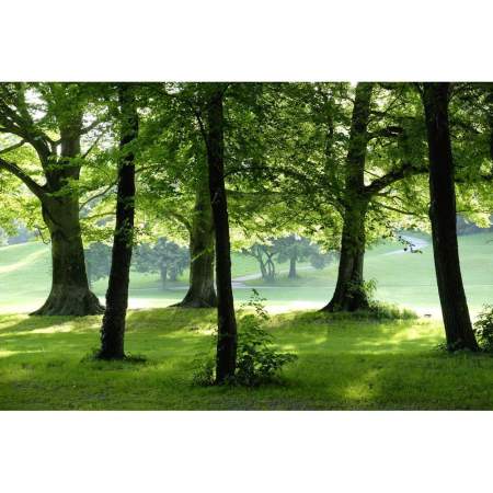 Детектор двуокиси углерода ebro  