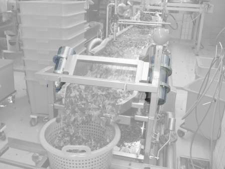 Площадочный вибратор Netter Vibration  NEG 16310 S